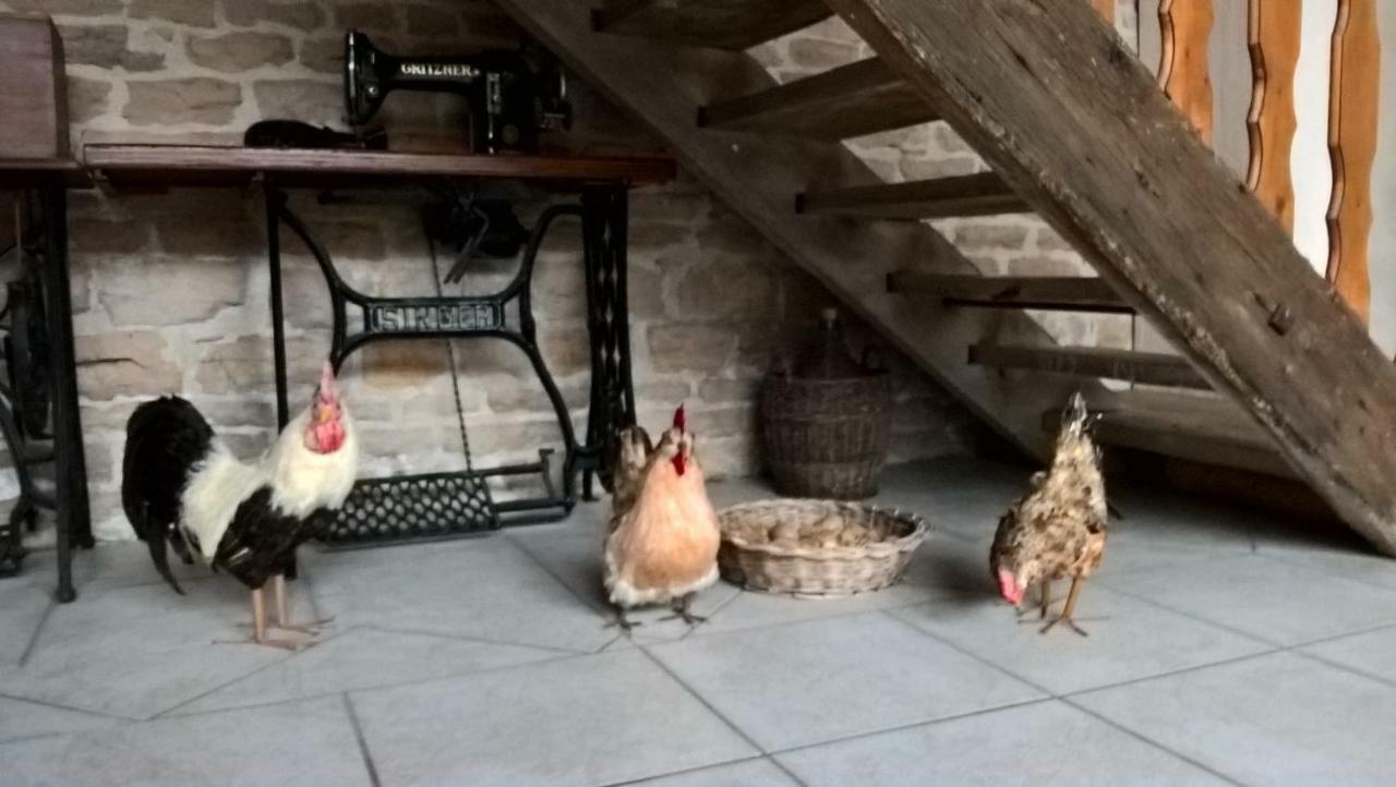 La Ferme Du Grand Faubourg Bed and Breakfast Pont-de-Vaux Eksteriør billede